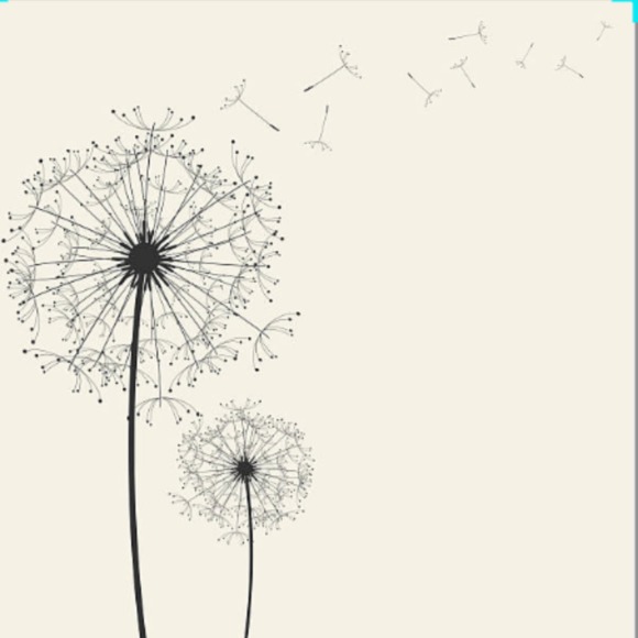 dandelionsnwish